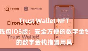 Trust Wallet NFT功能 信任钱包iOS版：安全方便的数字金钱措置用具